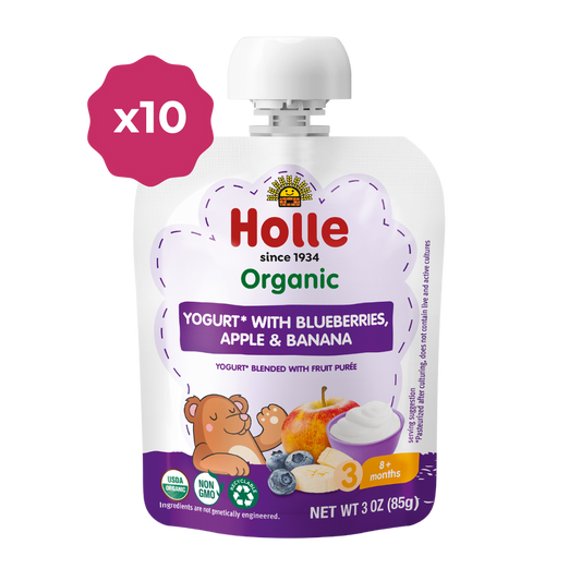 Holle Organic Yogurt Pouches - Blueberries, Apple & Banana